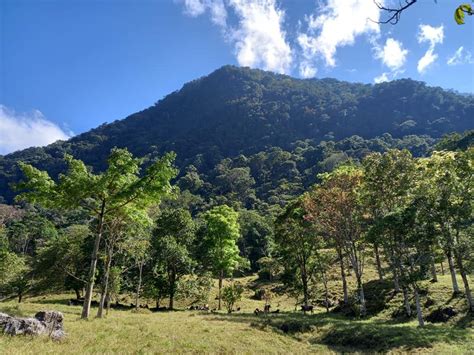 ¡Sumérgete en la Historia y la Belleza Natural del Parque Nacional El Pijol!